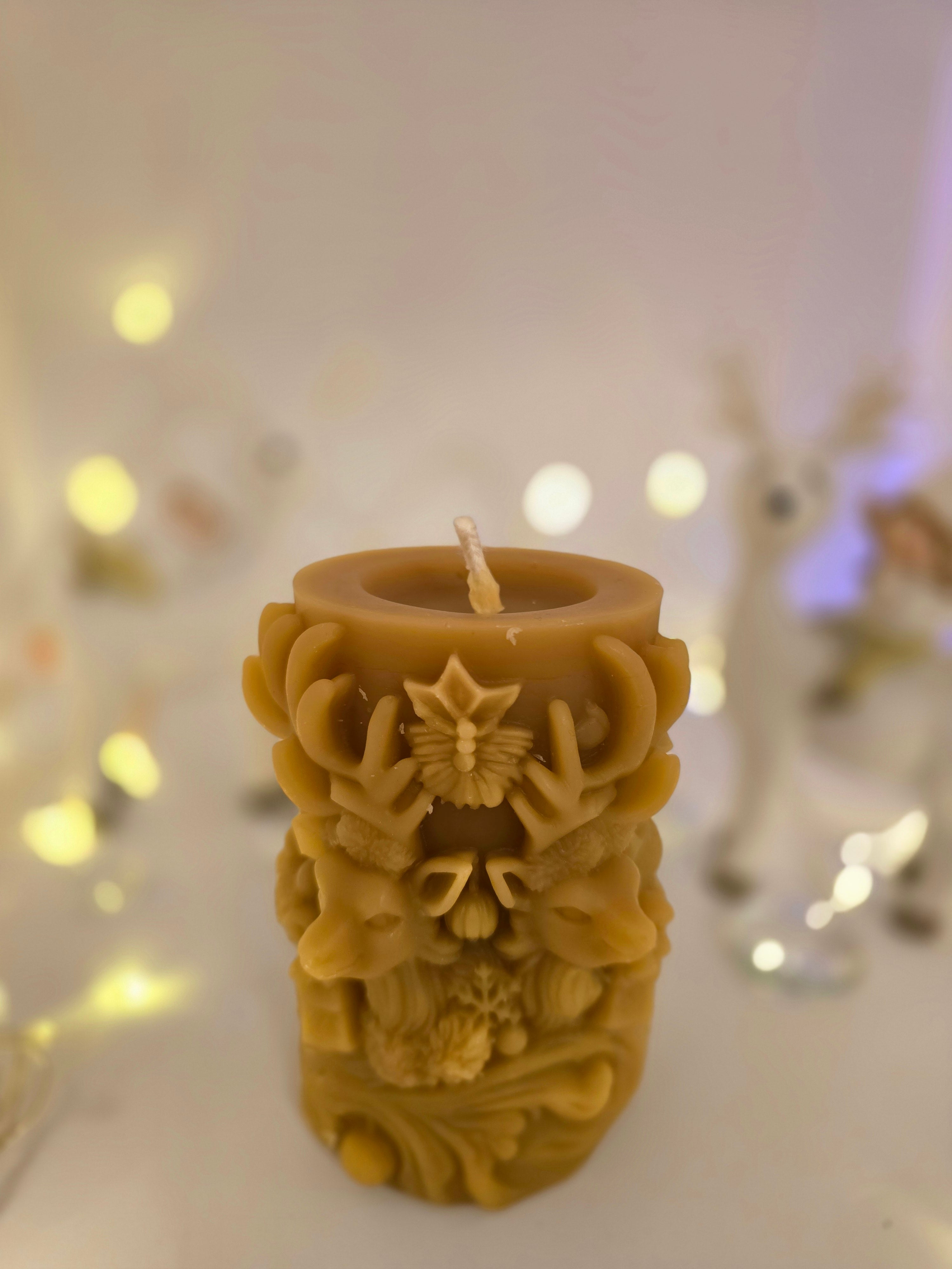 🎄 The Season of Light (Holiday Collection)