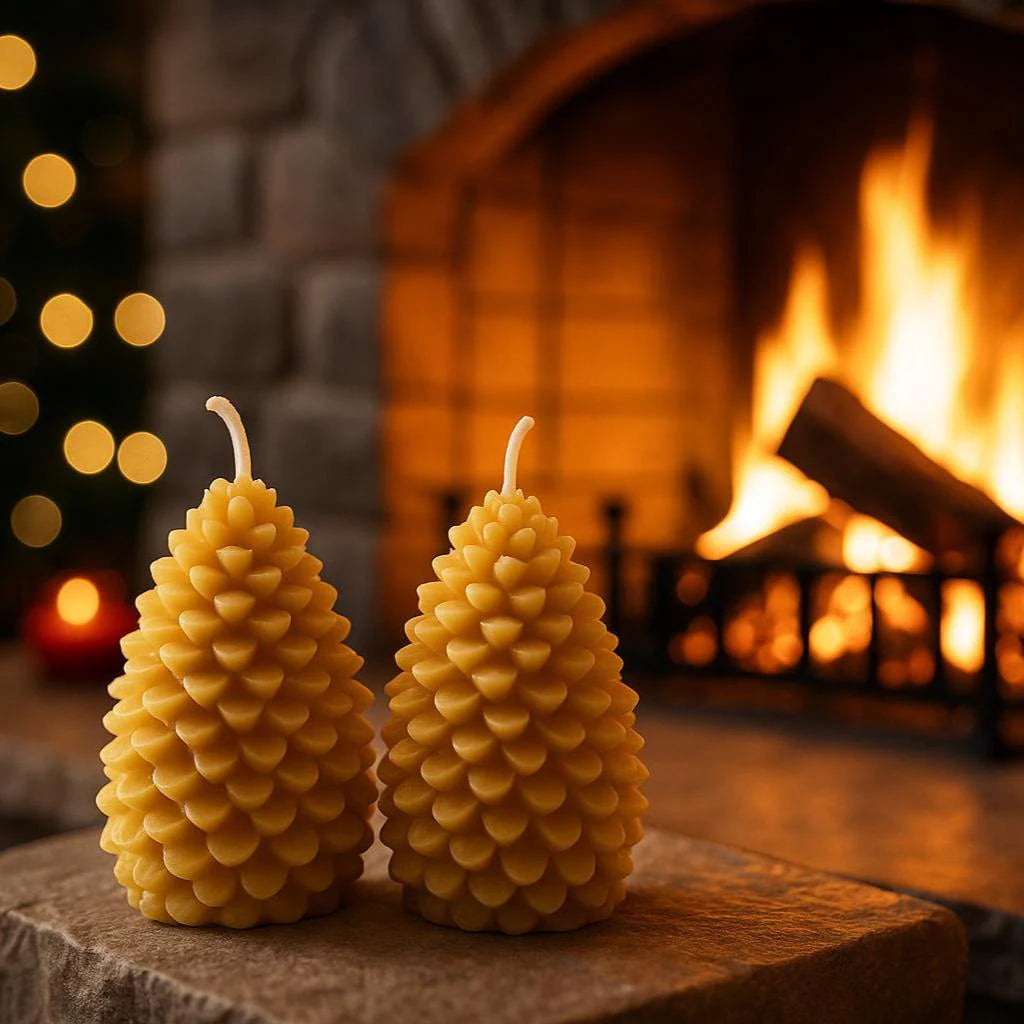 Two Acorns of Christmas Gift Box | 100% Pure Beeswax