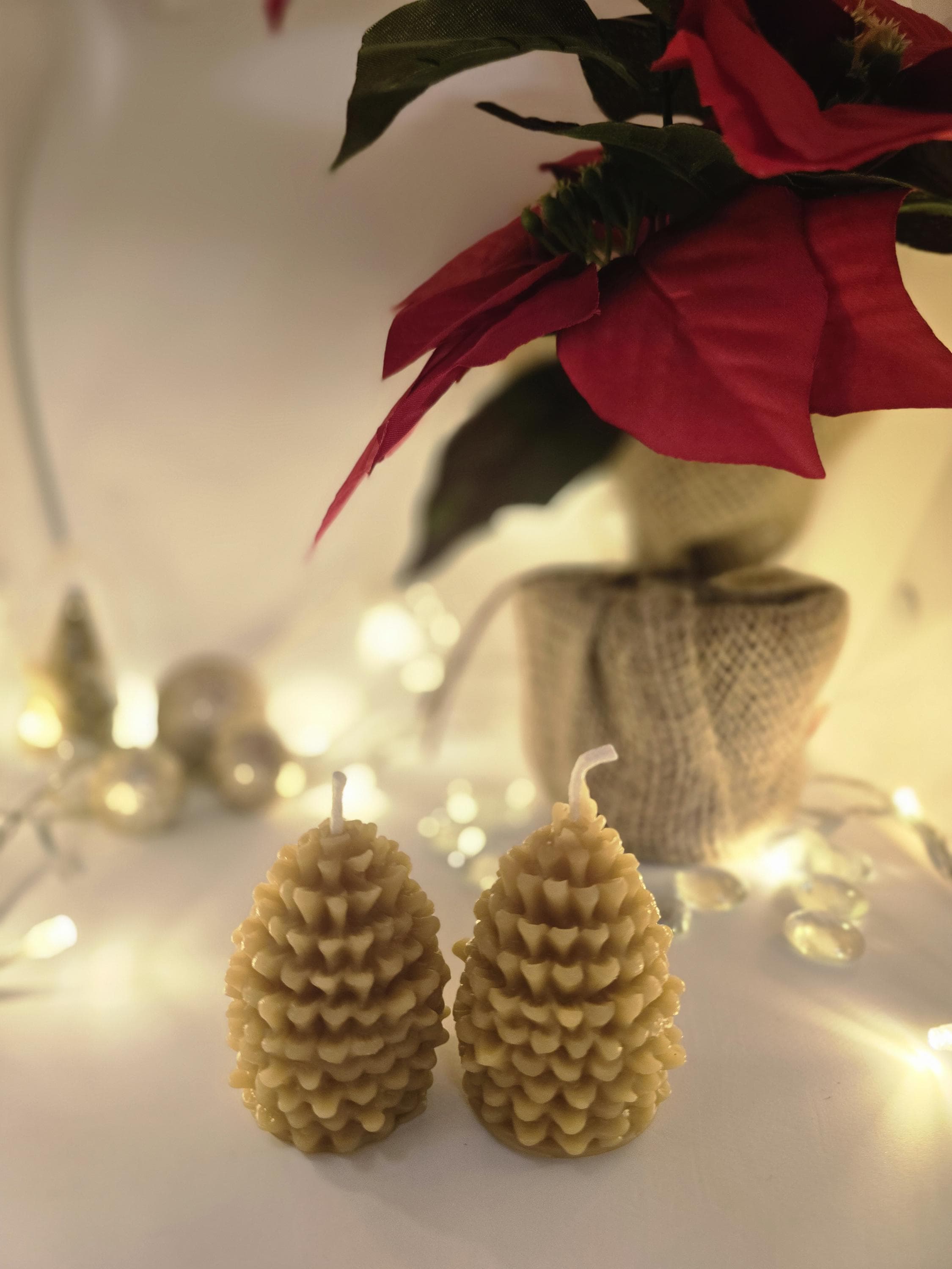 Two Acorns of Christmas Gift Box | 100% Pure Beeswax