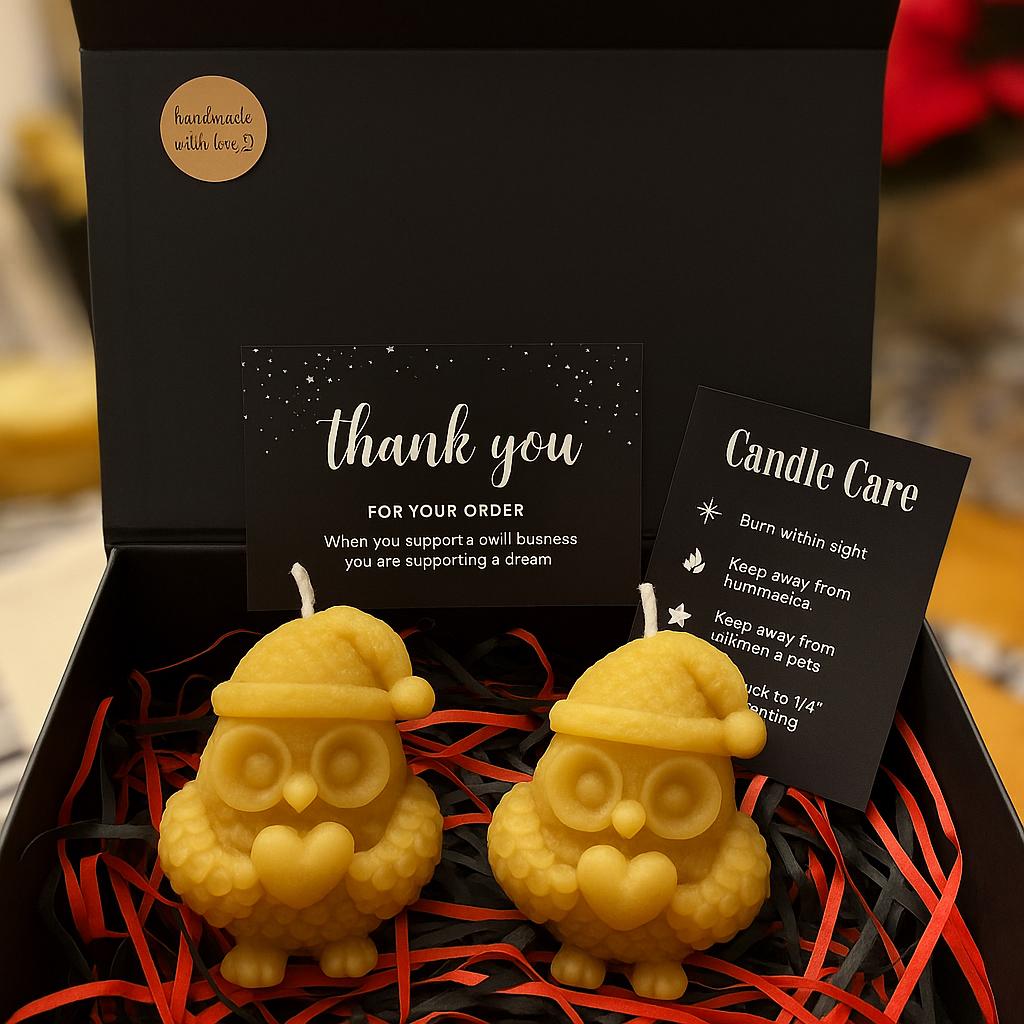🦉🎄 Christmas Owl Candles | Gift Box| Whoo-liday Cheer