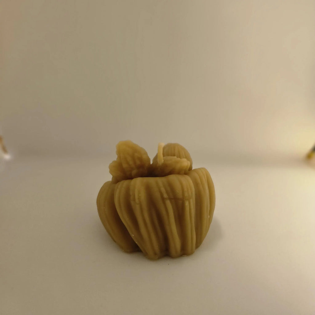 Little Christmas Angel Candles GiftBox |  Beeswax Candle