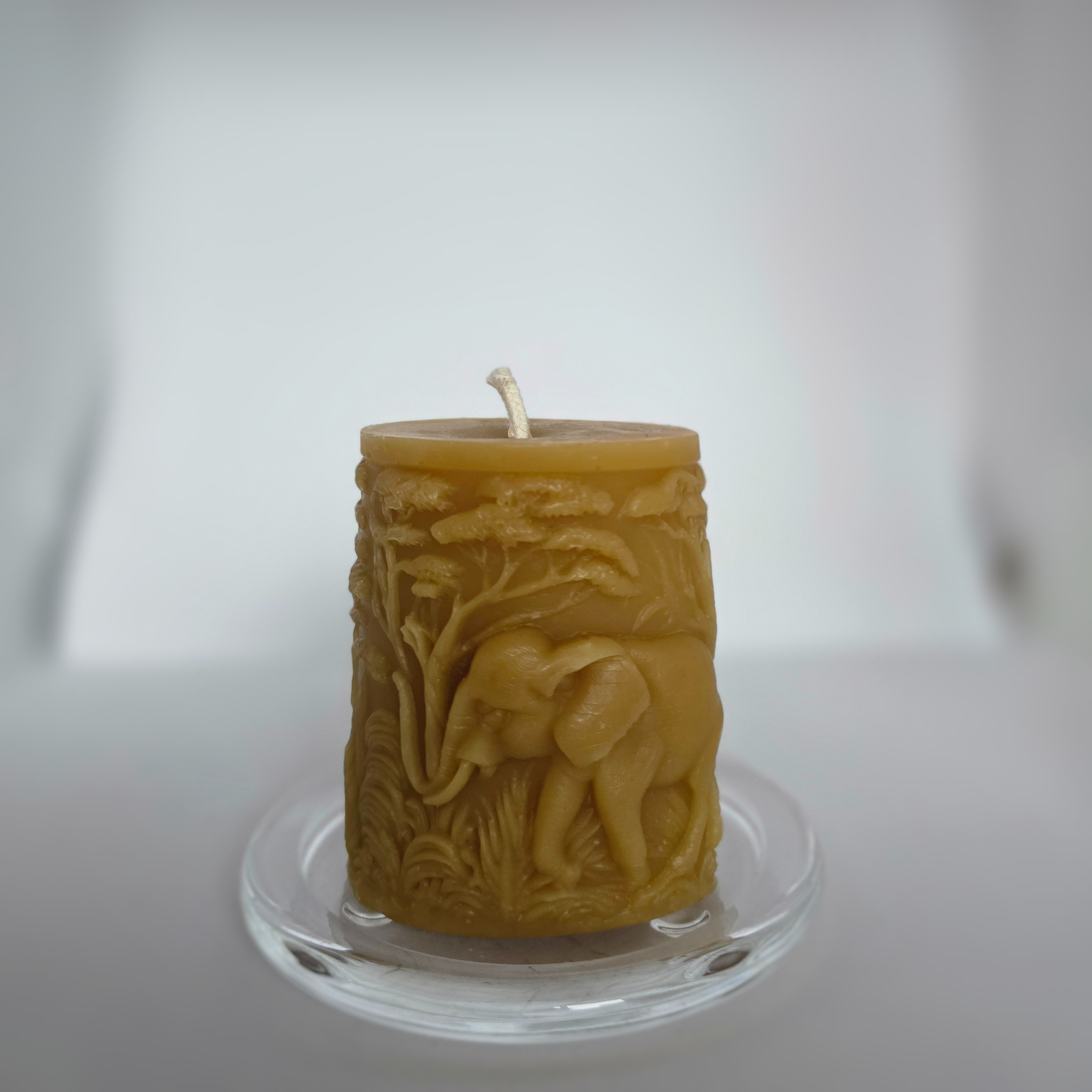 African Elephant| Wildlight Collecton| 100% Pure Beeswax Candle
