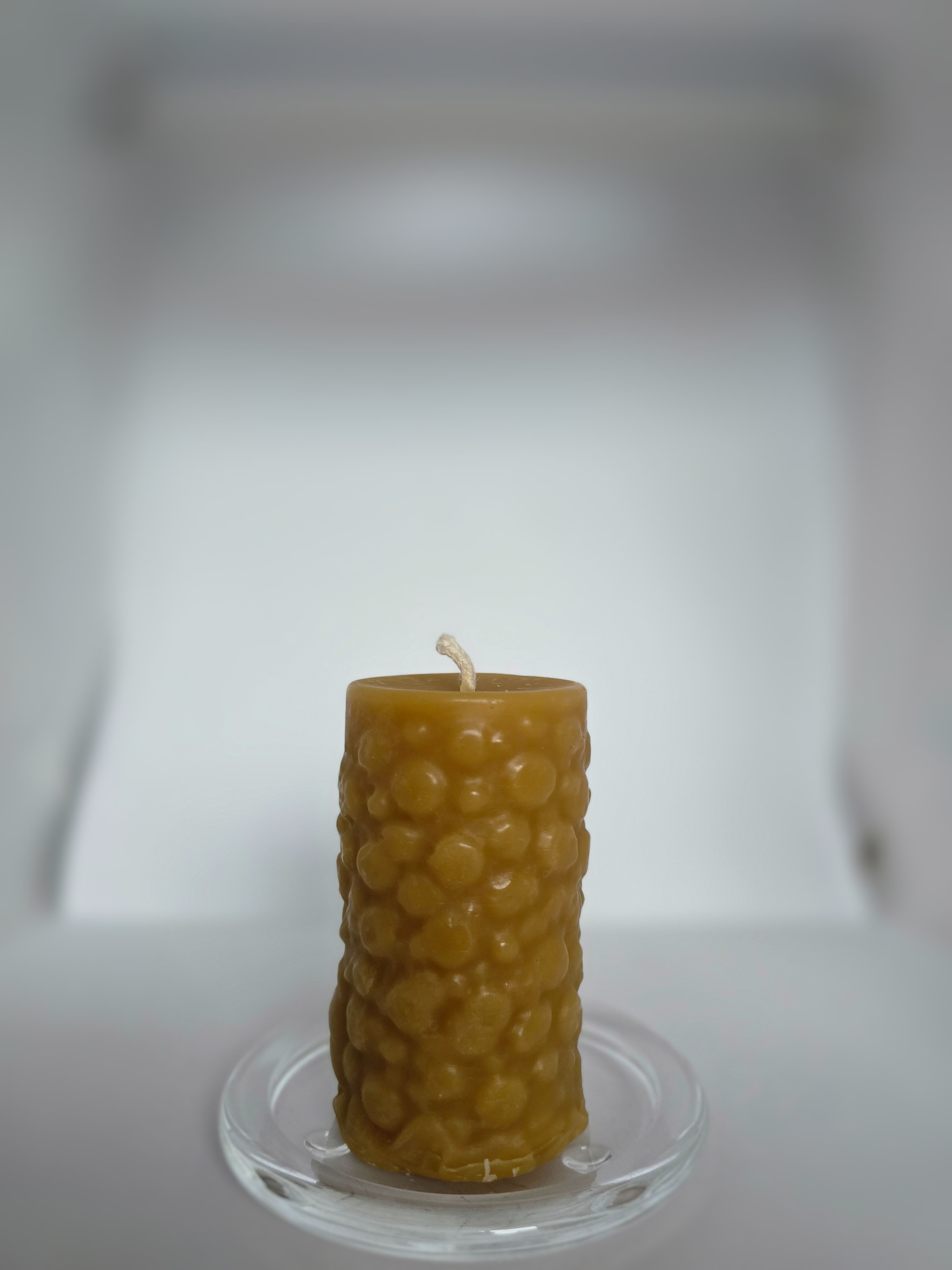 Lion King & Cubs |The Wildlight Collection | 100% Beeswax Candle