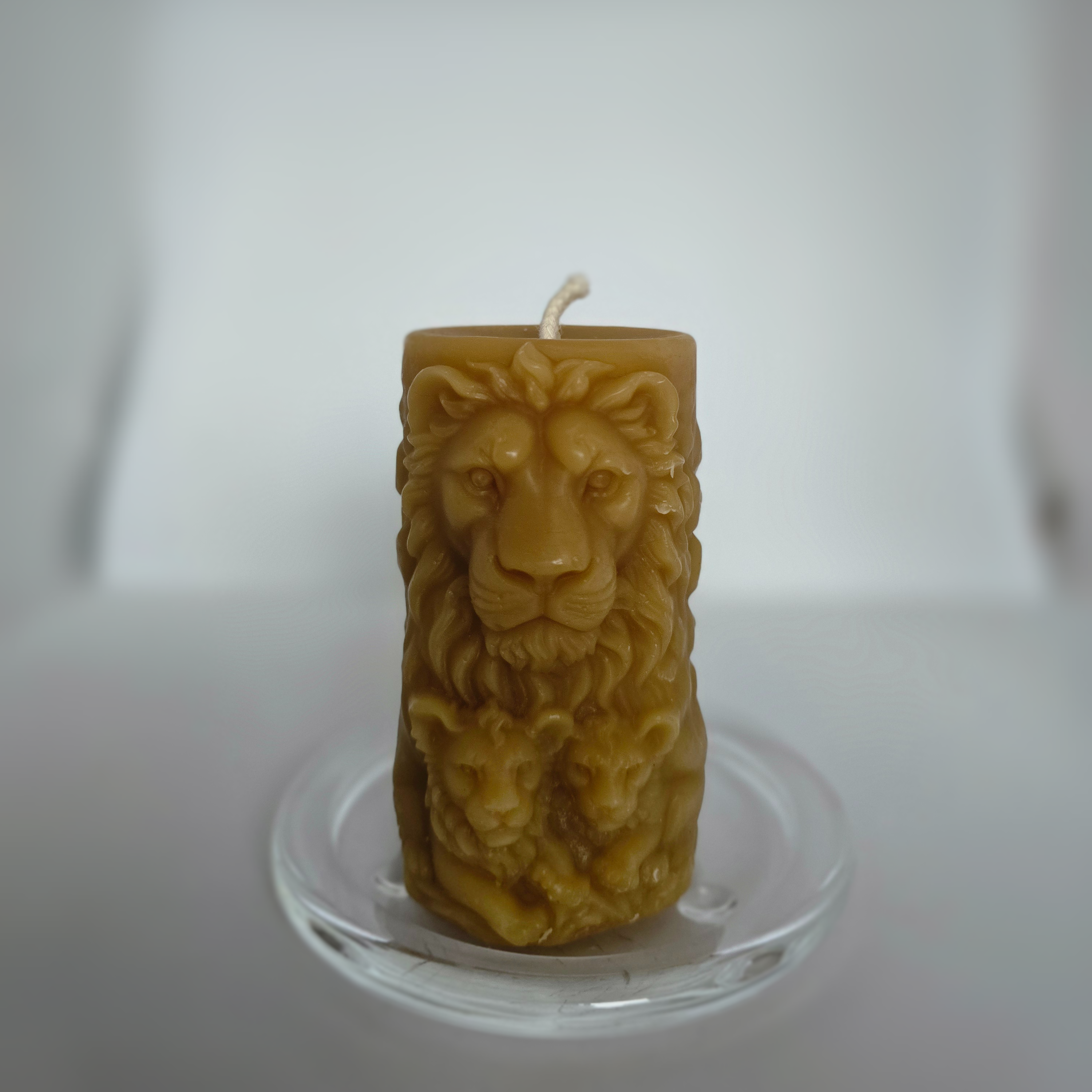 Lion King & Cubs |The Wildlight Collection | 100% Beeswax Candle