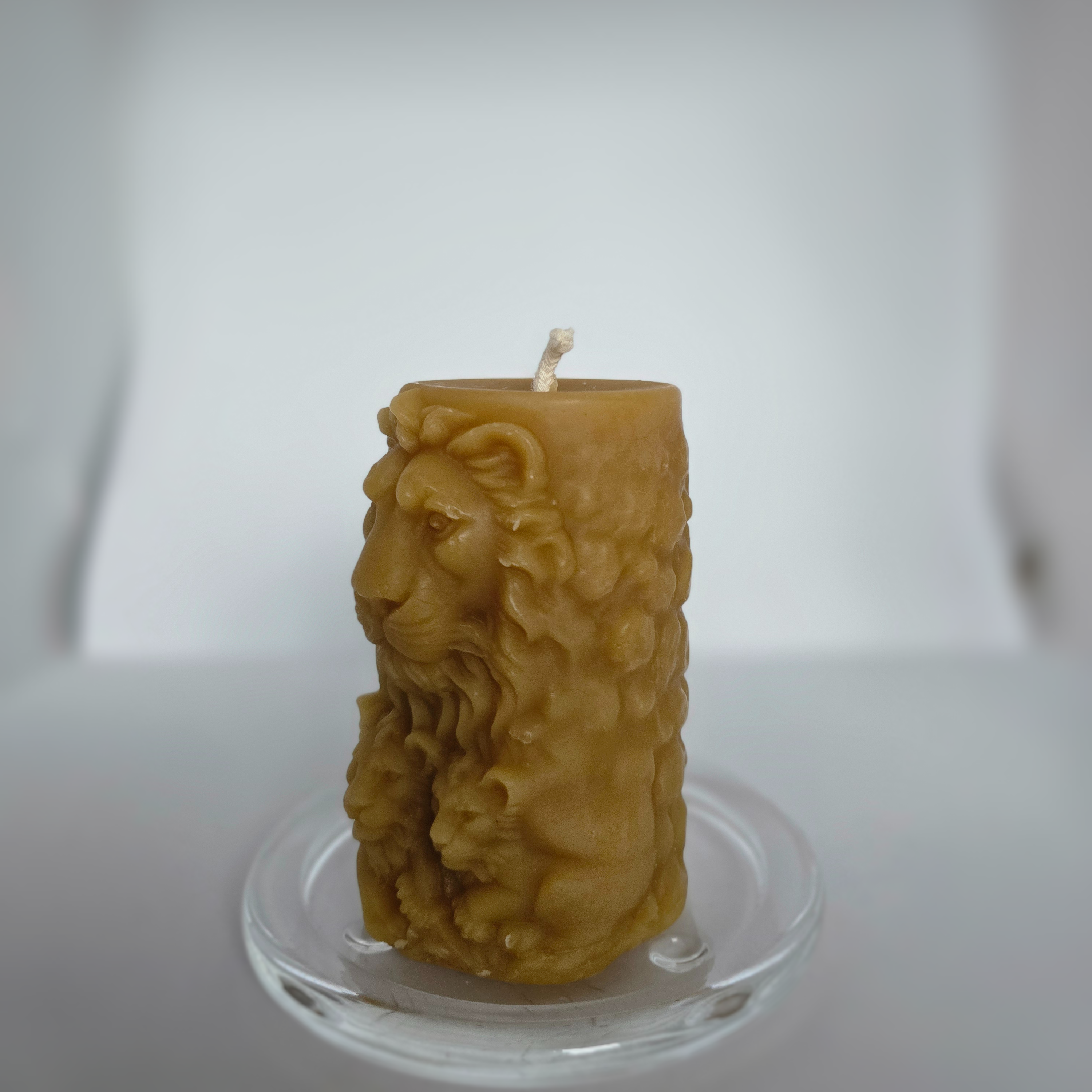 Lion King & Cubs |The Wildlight Collection | 100% Beeswax Candle