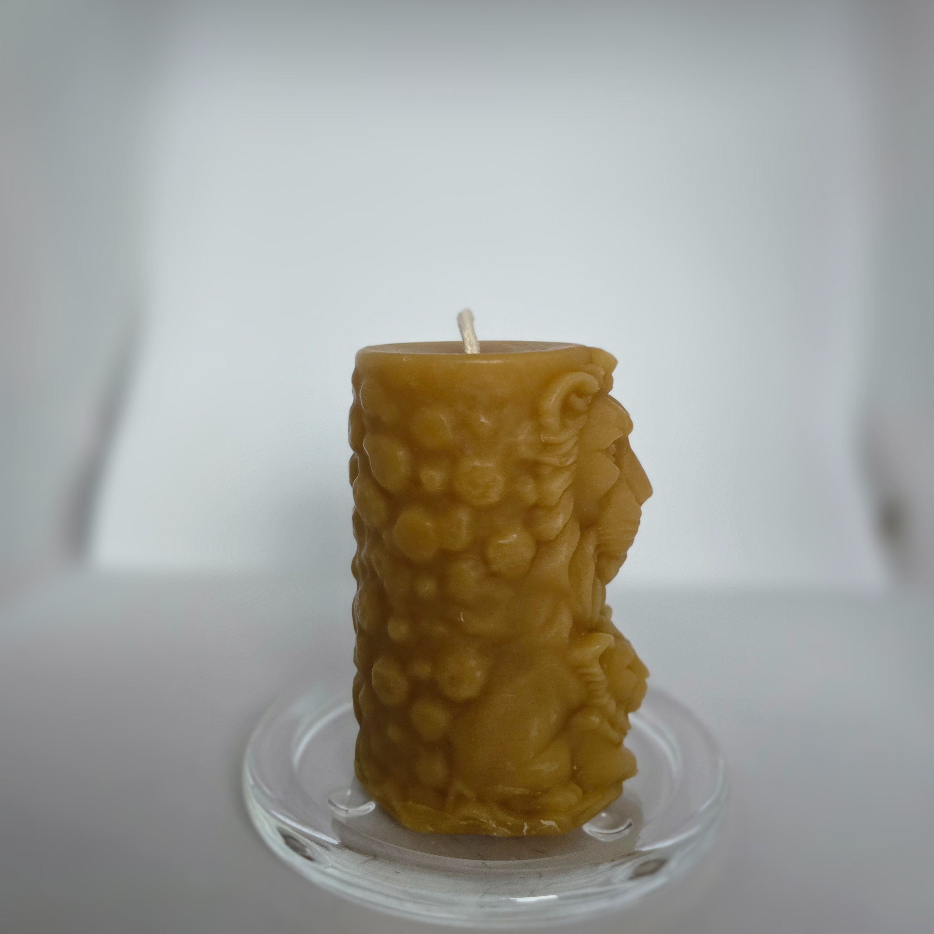 Lion King & Cubs |The Wildlight Collection | 100% Beeswax Candle